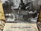 NEAR MINT Steely Dan 