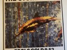 The Stone Roses Fools Gold 9.53 12