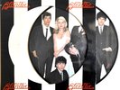 EX/EX Blondie - Parallel Lines PICTURE DISC VINYL LP 1978 USA