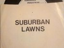 SUBURBAN LAWNS Gidget Goes To Hell 7