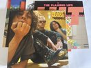 THE FLAMING LIPS Heady Nugs 1992-2002 Unplayed RSD 5 LP VINYL BOX SET #000066