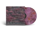Sleep Token Even In Arcadia 2LP Glass of Port Pink Vinyl /3000 Revolver Presale