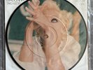 Madonna - Take A Bow Limited Edition Picture Disc 7” Single - Numbered #20144