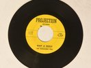 The Remaining Few Wait A While & Boogie Blues Projection 1784 TX Garage Psych 45