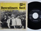 DOWNLINERS SECT Why Don't You Smile Now RARE Sweden 45 garage VELVET UNDERGROUND