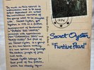 Secret Oyster -Furtive Pearl LP Vinyl USA 1974 P.I. Records LP Jazz/Prog/Rock NM