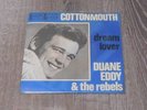 Rarest Duane Eddy 45 single  