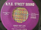 THE VILLAGE CHOIR - Sweet Hot Lips - RARE MODERN SOUL 45 N.Y.C Street Sounds