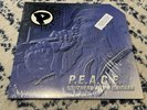 P.E.A.C.E. Southern Fry'd Chicken 12” ORIGINAL PROMO VINYL Freestyle Fellowship