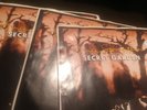 3 BRUCE SPRINGSTEEN:  Secret Garden/ Thunder Road  Special Listing For Andy