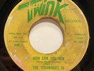 RARE Sweet Soul 45 THE TECHNIQUES IV How Can You Win Part 1 & 2 TWINK listen