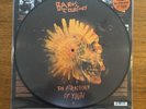 Barns Courtney THE ATTRACTIONS OF YOUTH Picture Disc Vinyl LP NEW Sealed Mint