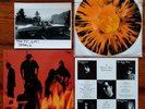 POISON IDEA We Must Burn LP 1993 Tim/Kerr Insert & Jerry A. Signed Photo EX/EX