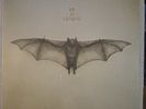 He Is Legend- White Bat - Vinyl Record  Embossed Cover.  New
