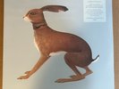 LP:  VASHTI BUNYAN - Lookaftering   NEW SEALED 2xLP EXPANDED VERSION