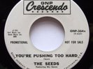 The SEEDS 45 You're Pushin too Hard CRESCENDO Promo VG++ Garage Rock   Dh 119