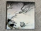 Vinyl 12