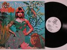 AQUARIAN DREAM Fantasy ELEKTRA LP VG+ wlp n