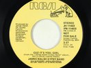 70s Soul 45 - James Walsh Gypsy Band - Cuz It's You Girl - RCA - promo