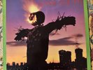 Sonic Youth Bad Moon Rising Vinyl LP 1985 US/UK Homestead BFFP/HMS 016 VG