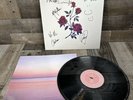 Whitney - Light Upon The Lake [Vinyl LP] Rare  Signed By The Band