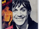 IGGY POP LUST FOR LIFE RCA RVP6233 Japan PROMO VINYL LP