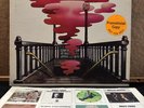 The Velvet Underground - 
