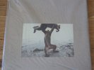 SHELLAC Dude Incredible 2014 180 gram Vinyl Record LP Albini noise math rock NEW