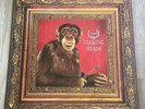 Talking Heads LP Naked UK EMI 1st Press INCREDIBLE COPY CAN DELIVER IN DEN BOSCH