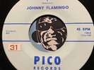 JOHNNY FLAMINGO Doowop 45 Pico #2800 I b/w Summertime VG++