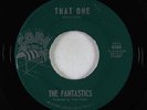 Northern Soul 45 - Fantastics - That One/High Note - Copa