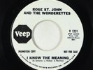 Northern Soul 45 - Rose St. John & Wonderettes - I Know The Meaning - Veep VG+
