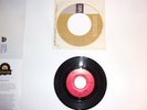 The Trashmen Surfin' Bird/King of the Surf 1st Press USA '63 Rare 45 + CLEAN