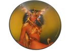 Cher 'Take Me Home' Vinyl Record Album LP Picture Disc 1979 Casablanca Records