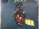 James Living In Extraordinary Times 2 x LP Album 180g  vinyl record 2018