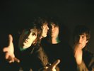 Stiv Bators Pop Goes The Weasel (Vinyl) (UK IMPORT)