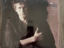 DON HENLEY - BUILDING THE PERFECT BEAST 1984 SEALED NOS Vinyl LP Eagles 1st