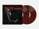 HOOKER, John Lee - The Best Of Friends (reissue) - Vinyl (2xLP)
