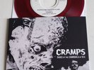 THE CRAMPS - DANCE OF THE CANNIBALS OF SEX - 7