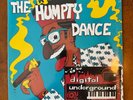 Digital Underground - The Humpty Dance 12