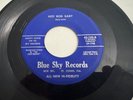 Rare Rockabilly 45 / Rocky Davis & Sky Rockets 