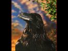The Stranglers - The Raven (LP, Album, Ltd, Len) (Near Mint (NM or M-)) - 357802