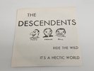 The Descendents Ride the Wild/It's a Hectic World ORIGINAL 1980 7