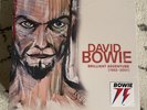 David Bowie Brilliant Adventure (1992-2001) LP Box Set, Vinyl, SEALED