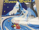 Not MOOnShAkE Mario Kart 8 Vinyl Record