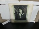 Paul McCartney Live in Germany LP