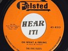 Killer Greasy R&B Guitar Rocker Doo Wop 45 THE FIVE FLEETS Oh What A FELSTED NM