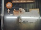 Pierce The Veil - A Flair For The Dramatic LP Opaque Brown Vinyl  - Fast Ship
