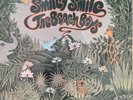 Beach Boys - Smiley Smile - Used Vinyl Record - G7848z
