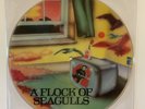 A Flock Of Seagulls, Self Titled, Picture Disc Vinyl LP Autographed Mike Score